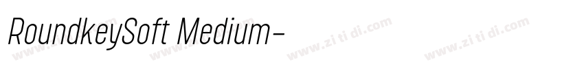RoundkeySoft Medium字体转换